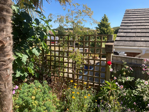 Mintern Fencing and Sheds Ltd