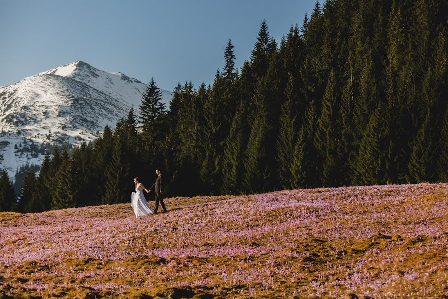 Fotógrafo de casamento Robert Bereta (robertbereta). Foto de 16 de maio 2017