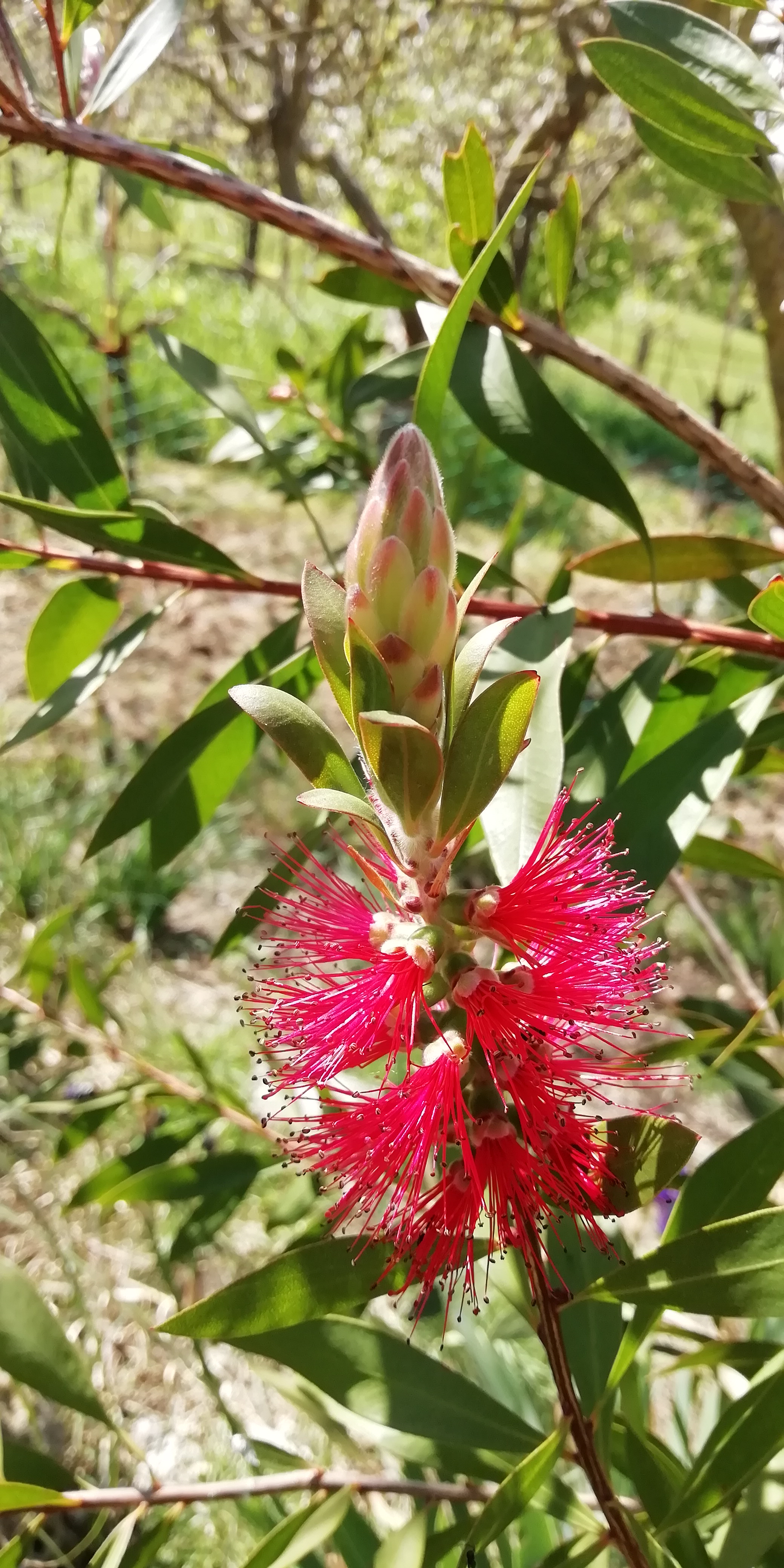 Piumino di primavera ... di Nikaele