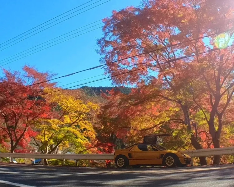 の投稿画像4枚目