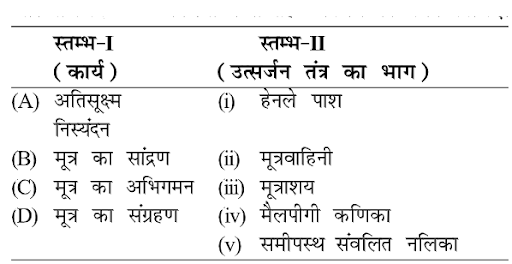 Regulation of Kidney Function