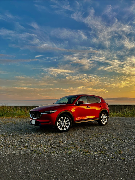 CX-5のカメ活📷・北海道◯くま連合協会・7/16はベアマウンテンに集合♪に関するカスタム事例の投稿画像1枚目