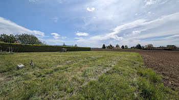 terrain à Chazey-sur-Ain (01)