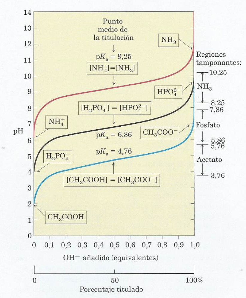 TAMPONAMIENTO.png