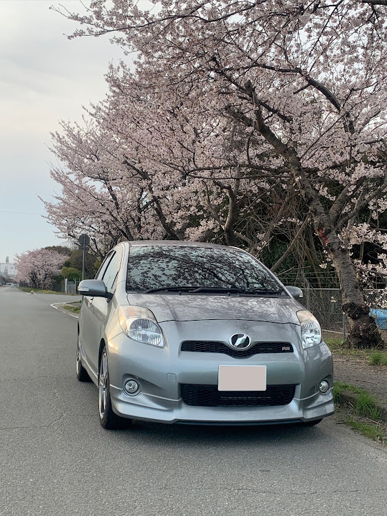 ヴィッツのNCP91・TRDターボM・セカンドカー・桜に関するカスタム事例の投稿画像1枚目