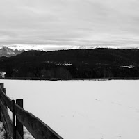 Paesaggio innevato di 