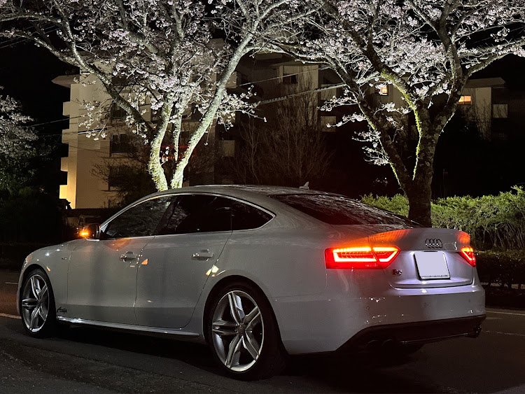 S5 スポーツバックのアウディのある生活・Anija・ドライブ・サクラと愛車・桜コラボに関するカスタム事例の投稿画像3枚目