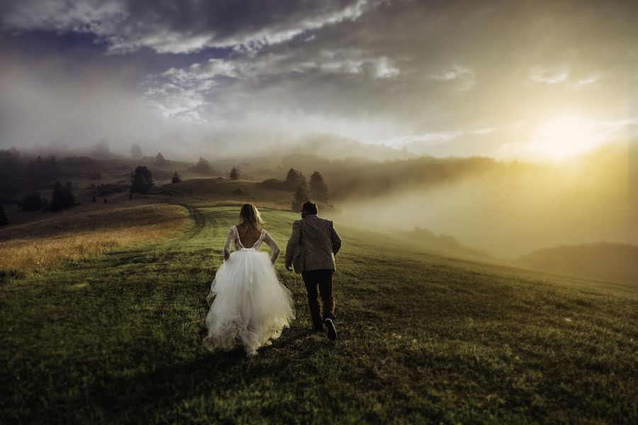 Wedding photographer Paweł Kowalewski (kowalewski). Photo of 31 July 2018