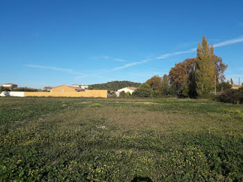 terrain à Sallèles-d'Aude (11)