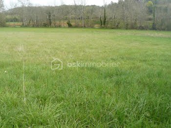 terrain à Sainte-Foy-de-Longas (24)