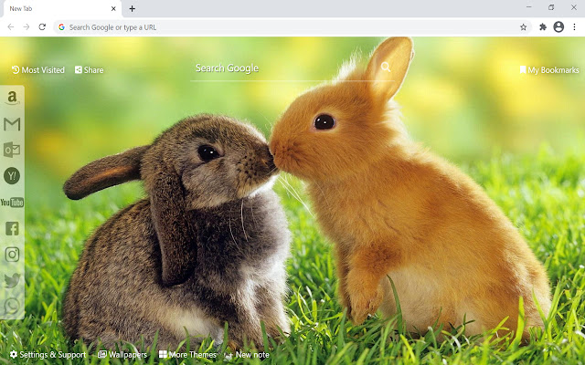 Bunny & Rabbit Wallpaper