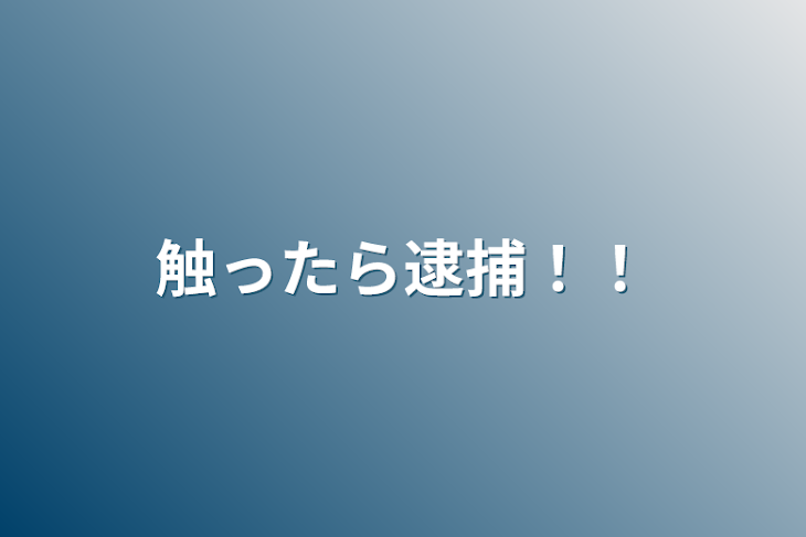 「触ったら逮捕！！」のメインビジュアル