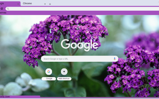 Heliotrope screenshot 1