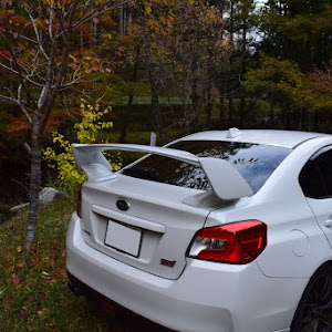 WRX STI