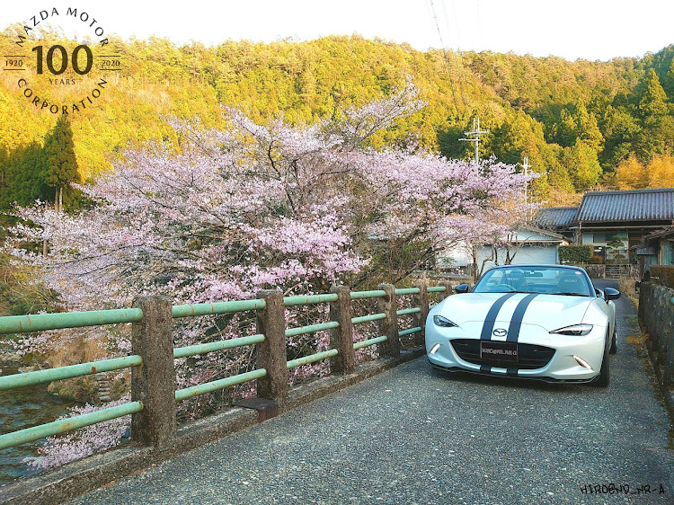 ロードスターのドライブ・桜と愛車・桜とコラボ・マツダ100周年・WithMazdaに関するカスタム事例の投稿画像3枚目