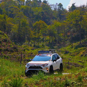 RAV4 MXAA54