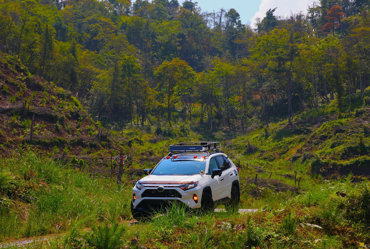RAV4のダッシュボードマット・ランクル300シフトノブ・絵下山・ラーチューン・イイ場所見つけた♪*°に関するカスタム事例の投稿画像1枚目