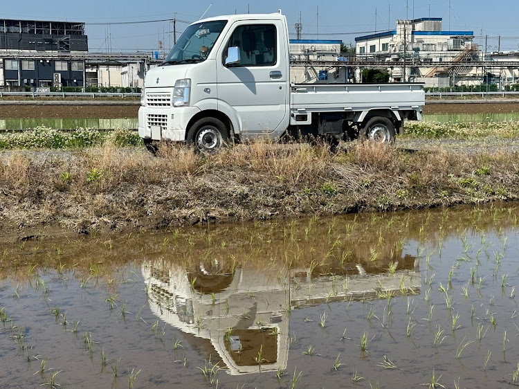 の投稿画像4枚目