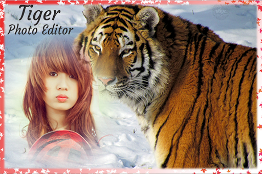 Tiger Photo Editor Tiger Photo Frame