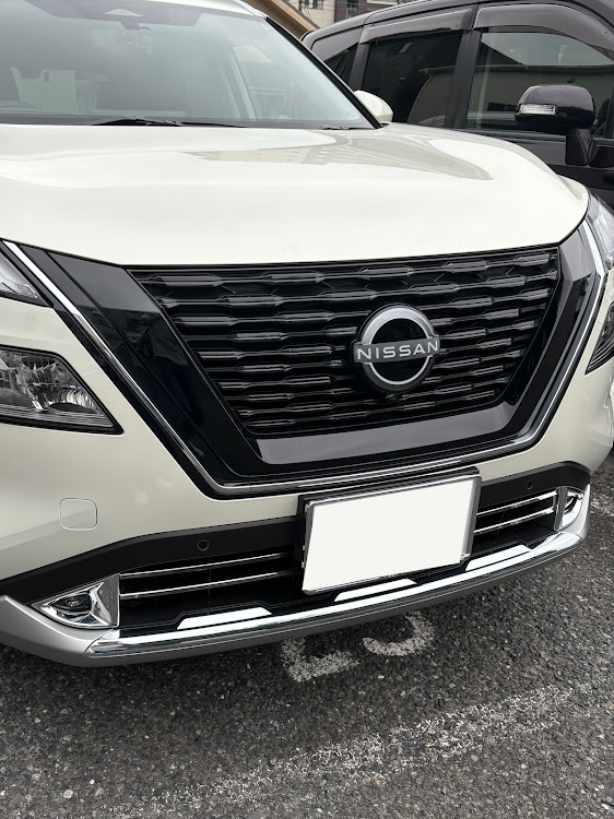 エクストレイルのシャンクスさんが投稿したカスタム事例の投稿画像1枚目