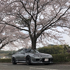 シルビア S15