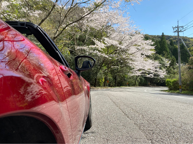 ロードスターのロードスターND・ツーリング・桜と愛車・ドライブ・やはり撮るに関するカスタム事例の投稿画像4枚目