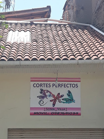 Cortes Perfectos