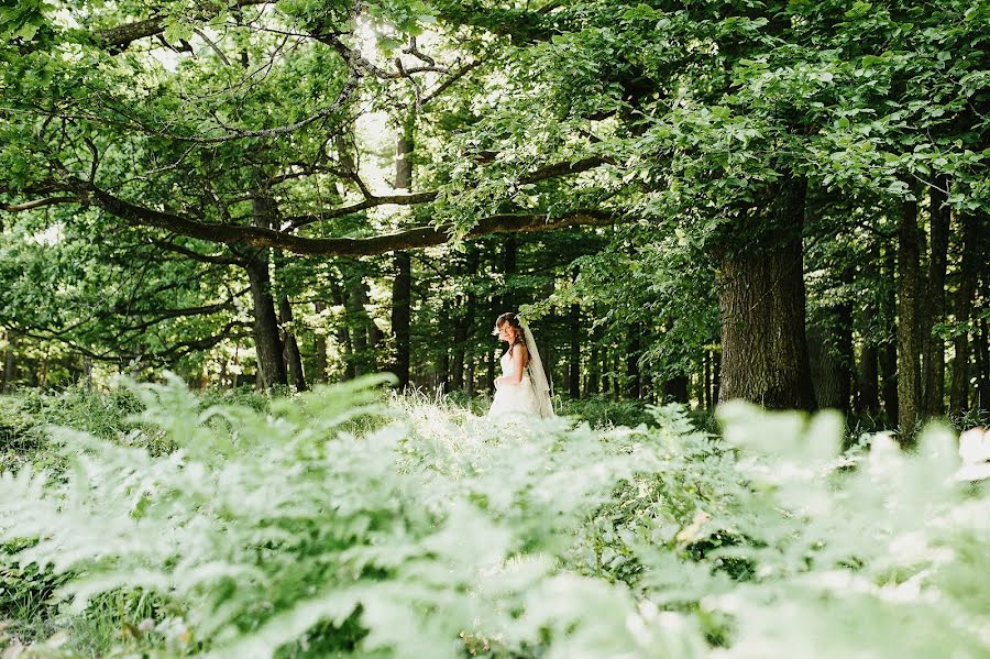 Fotógrafo de casamento Olga Latysheva (latysheva). Foto de 27 de agosto 2015