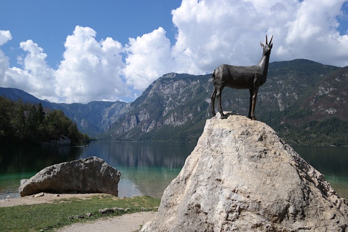 ESLOVENIA EN VERDE Y TURQUESA + VENECIA DE POSTRE - Blogs de Eslovenia - LAGO BOHINJ Y GARGANTA MOSTNICA (11)