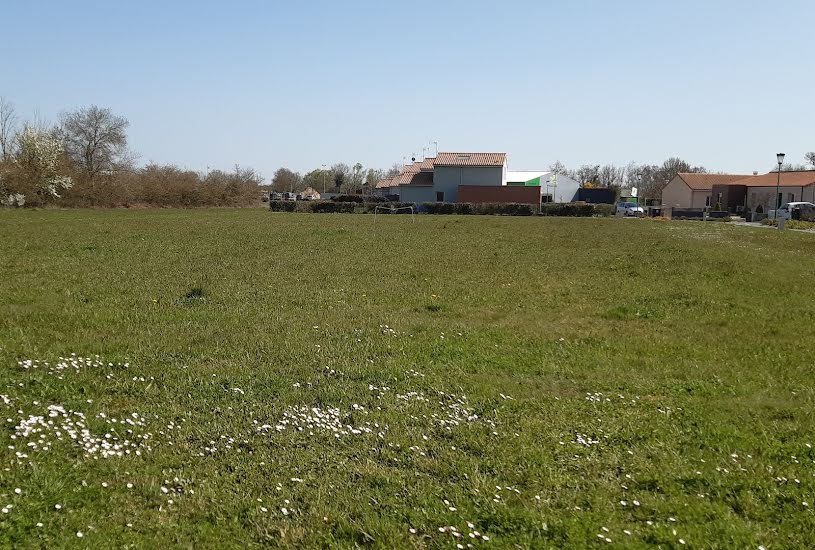  Vente Terrain + Maison - Terrain : 650m² - Maison : 134m² à Le May-sur-Èvre (49122) 