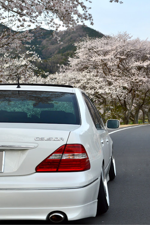 セルシオのセルシオ・t-demand・SSR wheels・サボり気味・インスタフォロー待ってます！に関するカスタム事例の投稿画像3枚目