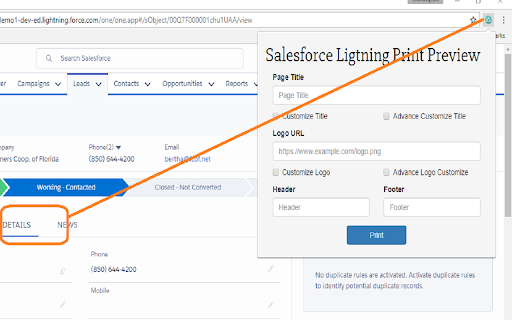 Salesforce Lightning Print Preview