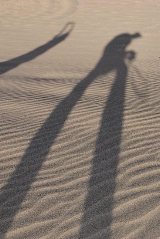 riflessi di deserto di rafes