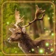 Download Forest Animals Live Wallpaper For PC Windows and Mac 1.0
