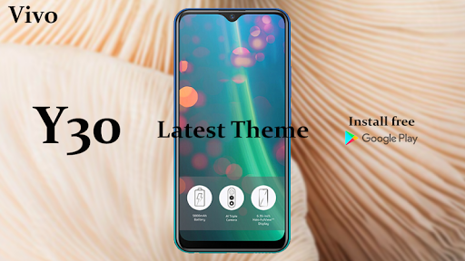 Theme for Vivo Y30