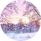 Item logo image for Winter Snow Wallpaper