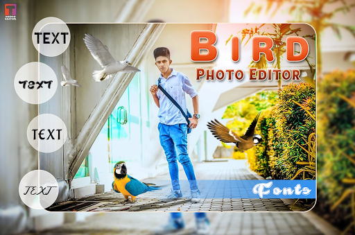 Bird Photo Editor  Background Changer