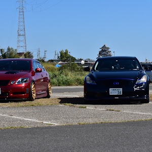 GS GRS191