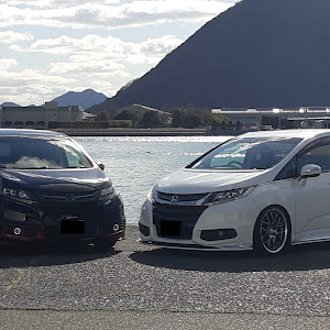オデッセイ RC1