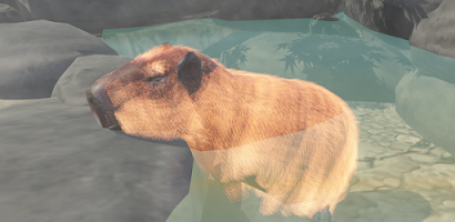 Capybara Clicker APK for Android Download