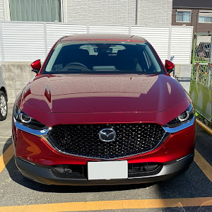 CX-30 DM8P