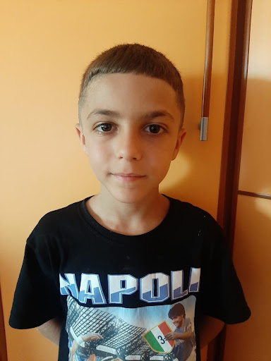 Raffaele D'Amico