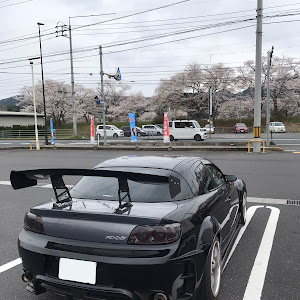 RX-8 SE3P