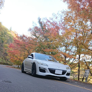 RX-8 SE3P