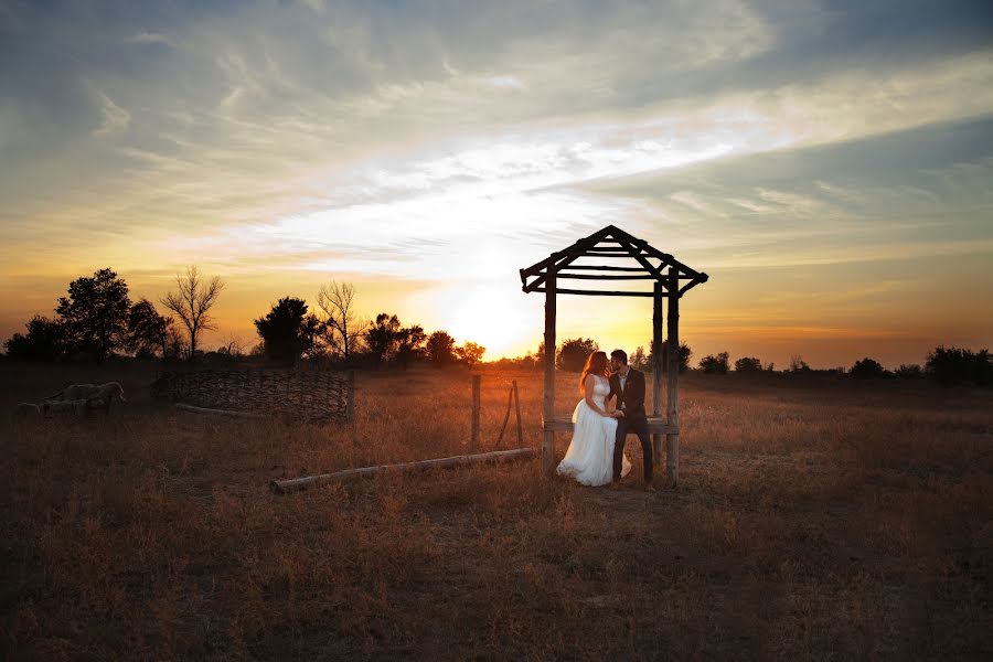 Fotografo di matrimoni Anna Gresko (annagresko). Foto del 24 novembre 2015