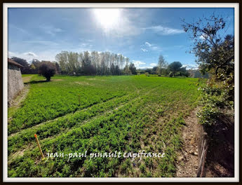 terrain à Momères (65)