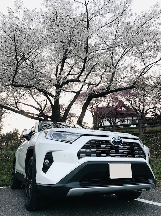 RAV4の桜とコラボ🌸・夕方撮影に関するカスタム事例の投稿画像2枚目