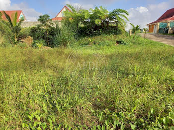 terrain à Le morne rouge (972)