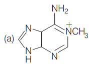 Chemical reactions of amines