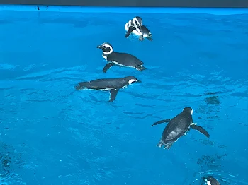 今日の出来事